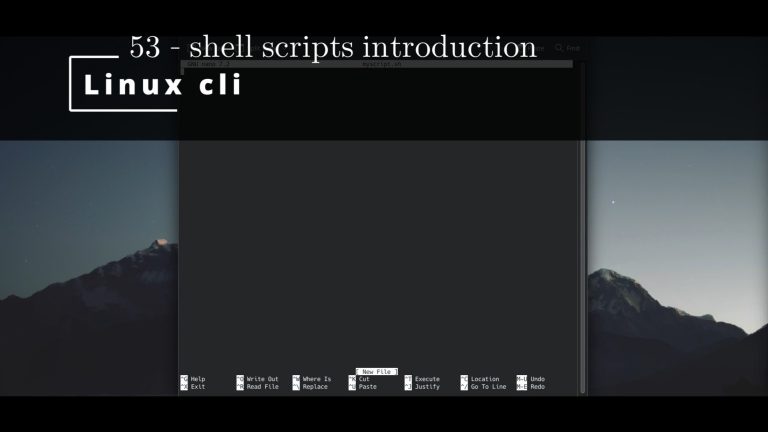 Linux CLI 53 🐧 shell scripts introduction