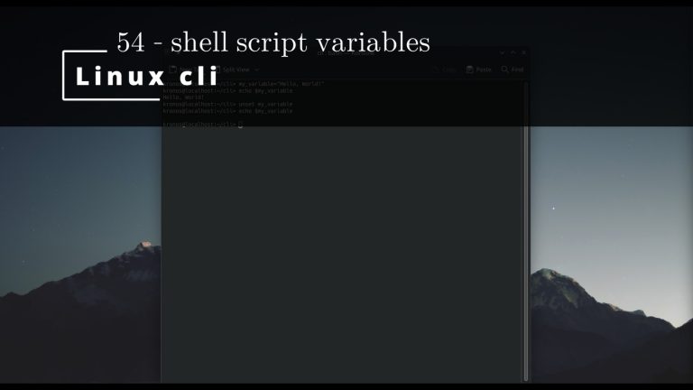Linux CLI 54 🐧 shell script variables