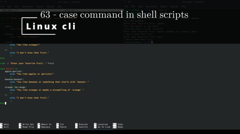 Linux CLI 63 🐧 case command in shell scripts